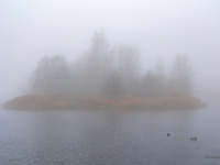 Migla novembrī