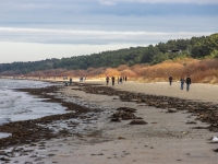 Jūrmala martā