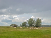 Latgales ainava 