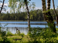Melnezers (Ķemeru nacionālajā parkā)